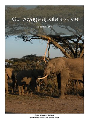 cover image of Osez L'Afrique